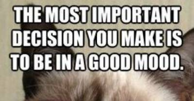Grumpy Cat Says, "Open My Link, Or Else...!"