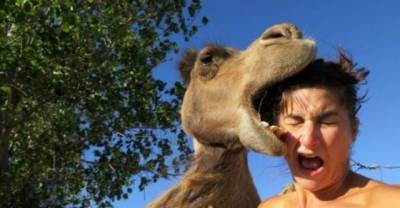 Women vs. Animals &mdash; 20 Funny Pictures of Women Dealing With Animals