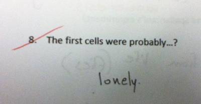 Your Jaws Will Hurt From Laughing After Reading These Tests Answers