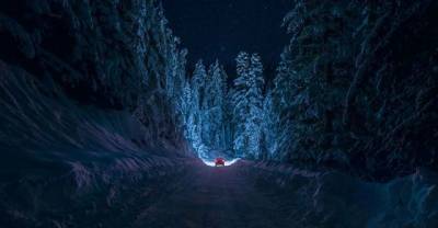 10 Mysterious Forests You Will Love