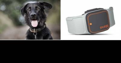 Show Your Love To Your Dog. 40 Insanely Clever Products Your Dog Deserves To Own Part 1