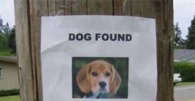 Whoever Came Up With These 10 Ridiculous Flyers Is A Genius!