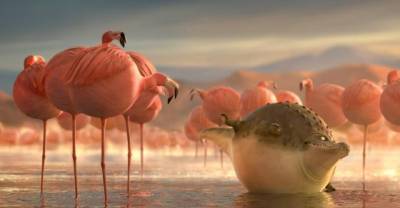 What Animals Would Look Like If They Ate Fast Food