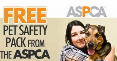 Freebies That Will Kock Your Socks Off!! (List of sites, no email or survey required)