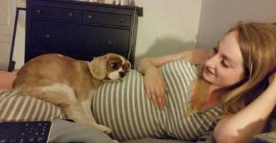 20 Sleepy Animals Who Know That People Make The Best Pillows