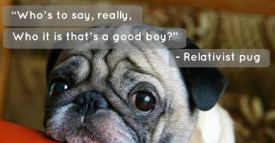 11 Haikus Clearly Written By Dogs