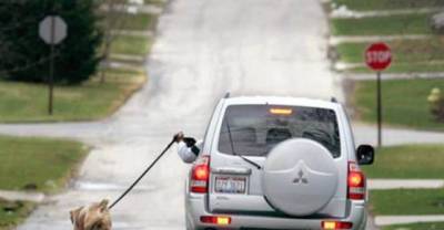 19 People Whose Laziness Borders On Genius