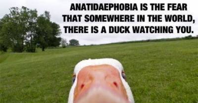 Phobias You Have To See To Believe Cause You Might Be The Victim Of These!