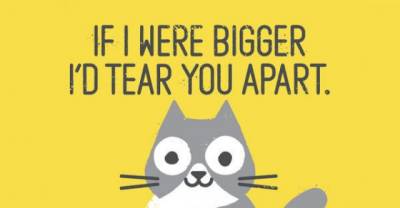 Witty T-Shirt Designs That Are Simple but Smart