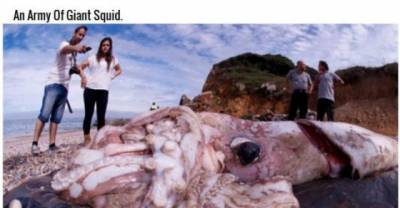 The Oddest Items That Have Ever Been Washed Ashore