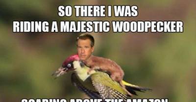 Hilarious Memes of the Weasel Riding the Woodpecker (20 pics)