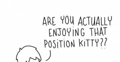 These Hilarious Cartoons Absolutely Nail What It&rsquo;s Like To Live With A Cat