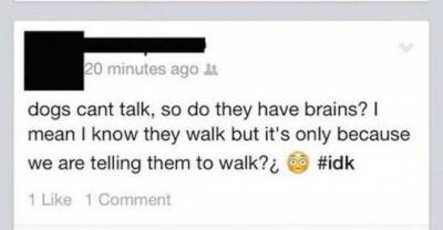 Some People Are Just Too Stupid To Be Using Facebook