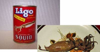 15 Scary Canned Foods! You'll Be shocked that They Even Exist!