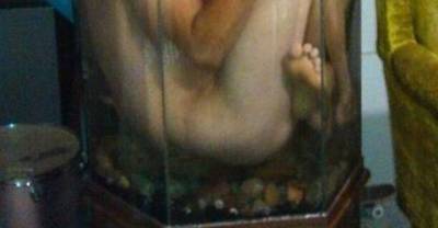 The Most Epic WTF Pictures