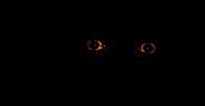 10 Terrifying TRUE Ghost Stories