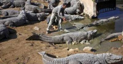17 People Who Are Probably Dead After This WTF Incidents