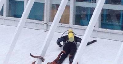 17 Horrific Pictures That Will Scare The Hell Out Of You!