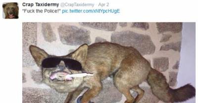 19 Creepy Taxidermy Fails That Might Keep Breaking Your Heart Till You Die