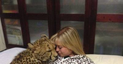 The Cheetah Girl! This Girl Is A Real Life Cheetah Whisperer.
