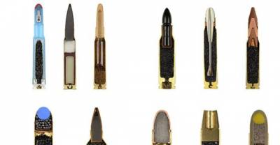20 Everyday Items Cut In Half To Reveal Their Inner Workings
