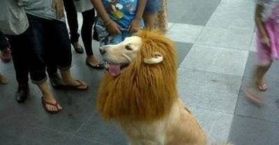 17 Images That Will Fool You Even If You Are Blind Especially #9!