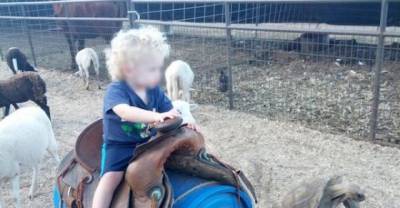 10 Kids Who Learnt Their S*x Ed Lesson From The Zoo