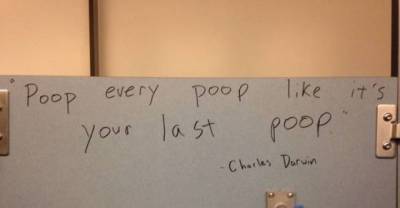 These Priceless Works Of Art In Public Bathroom Stalls Will Motivate You To Poop Properly