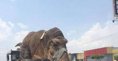 12 crazy and weird things you don&rsquo;t see everyday.