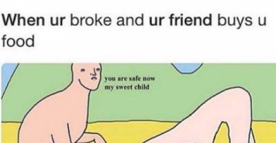 Pictures From Internet That Are Far Too Perfect For This World