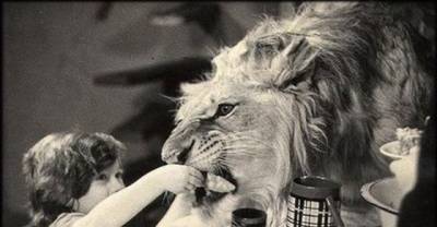 A Tragic Story of One Soviet Family Having Three Lions As Pets