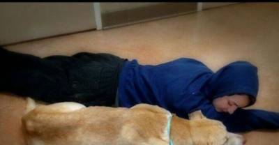 She 'Played Dead' In The Cold For Hours To Save This Starving, Fearful Stray
