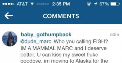 This Couple Gets in a Huge Fight on Instagram