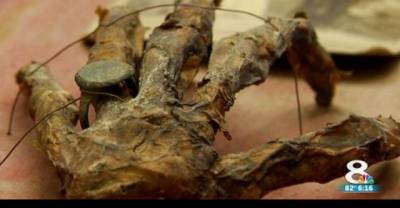 A Man Found An Old Mysterious Hand In His Grandfather's Attic. Terrifying!