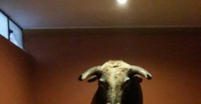 These Objects Are Innocuous, But Their Weird Shadows Tell A Different Story