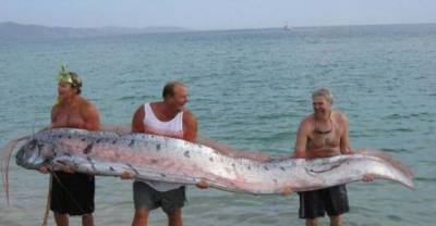 12 Real Animals That Fell Right Out Of A Children's Storybook
