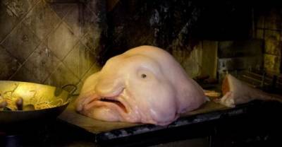 7 Of The World's Most Frighteningly Bizarre Ocean Creatures