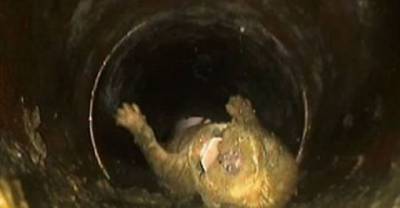 Where Were The Parents? 10 Shocking Kids Fails