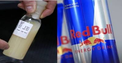 Did You Know Your Energy Drinks Contain BULL URINE & SEMEN...