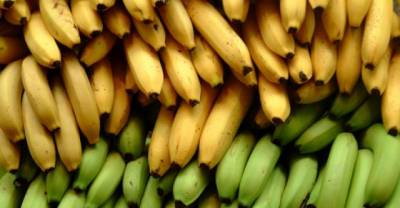 7 Radioactive Household Items