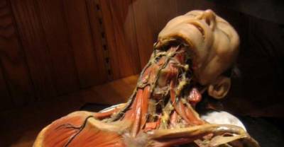 What They Found Inside This Ordinary-Looking Building In Philadelphia Is Pure Terror
