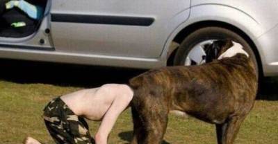 15 Perfectly Timed Pictures.