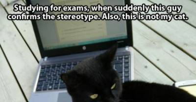 Check Out These People Who Were Forced To Become Cat Owners