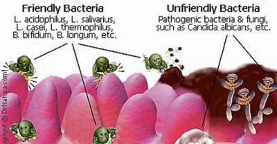 Functional Food Components with Superpowers