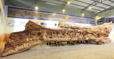 It Looks Like An Old Rotten Tree Trunk... But Looking Closer Reveals Something Mind Blowing!