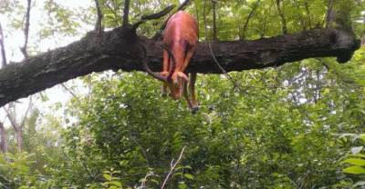 WTF!!! After Watching These Images I Really Want To Visit the zoo on a daily basis