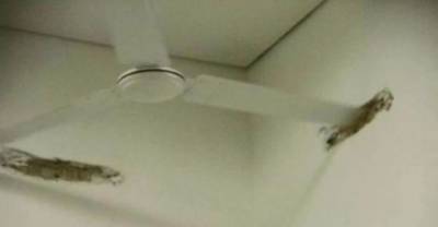 These Construction Jobs Were Poorly Planned And Ended In Most Hilarious Ways Possible