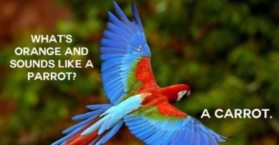 21 Jokes That Are So Stupid, They're Actually Funny