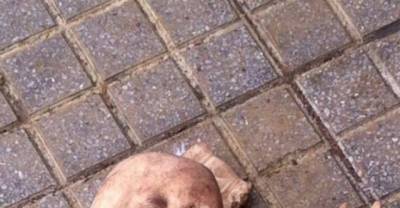 17 Creepy Dolls That Will Haunt Your Dreams!!