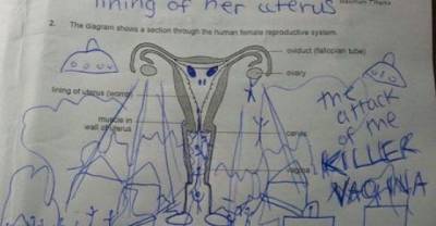 18 Test Answers That Scored High On The Funny Meter
